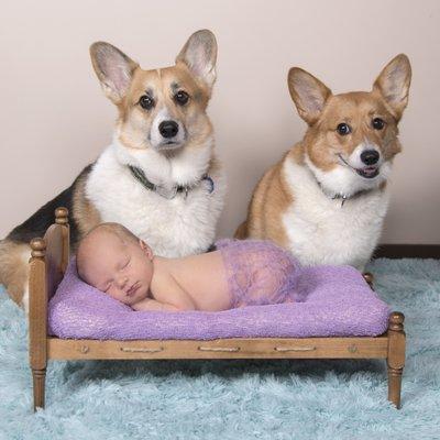 Newborn portraits