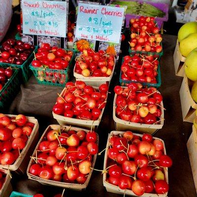 Rainier cherries are back for a short time.