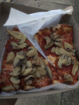 Mushroom pizza