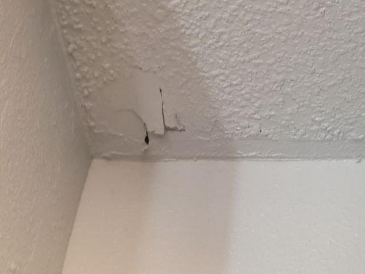 Ceiling water damage.