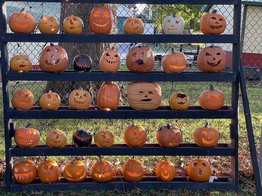 Pumpkin greeters!