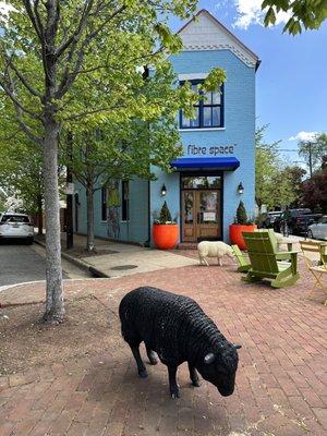 Outside view of the shop, complete with grazing sheep.