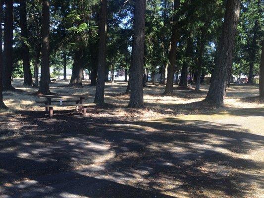 Picnic area with outdoor grills, electric outlets and water spigots.