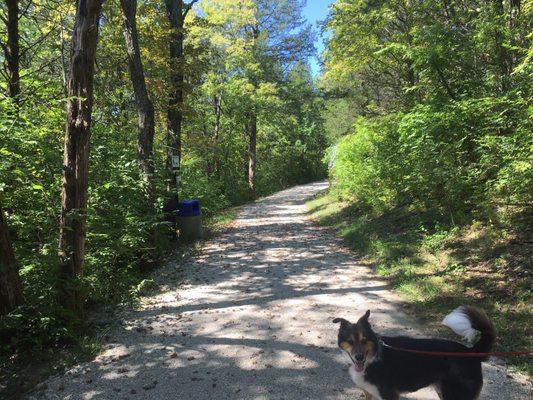 Trail up; nice and wide; shady.