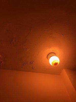 Mold/water build up in our overhead light. This took over a week for ICM to respond to