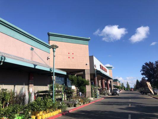 Front entrance of Home Depot in Santa Rosa.