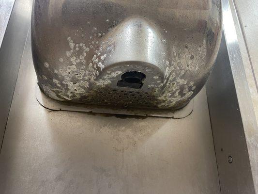 Mold on the hand dryer in the men's restroom.