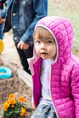 Gardening!