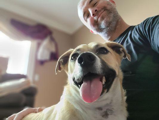 Our happy pup the day he came home from board and train with Hudson's.