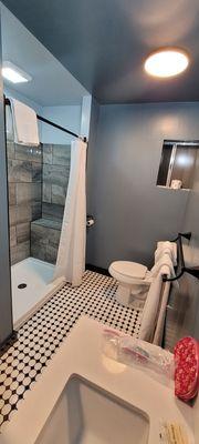 Exceptionally large bathroom