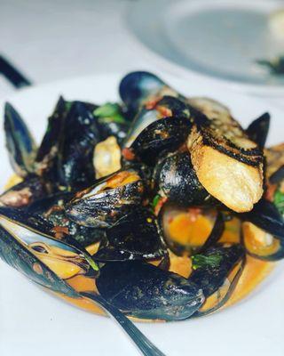 Mussels Gea diablo