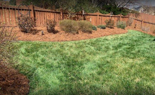 Total Lawn Care & Landscaping