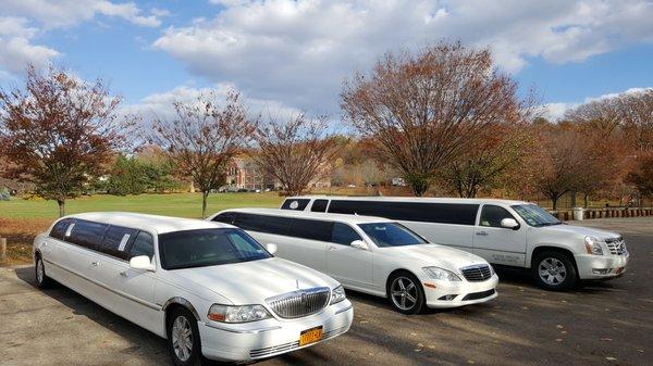 Westchester County Limo Rental