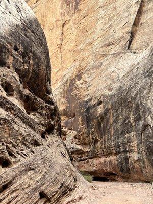 The Grand Wash Trail.