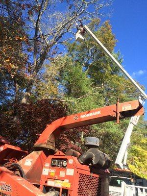 Removal of dead, hazardous, oak tree threatening too damage a home