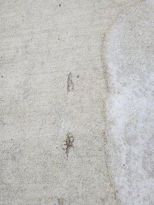 Scarred driveway