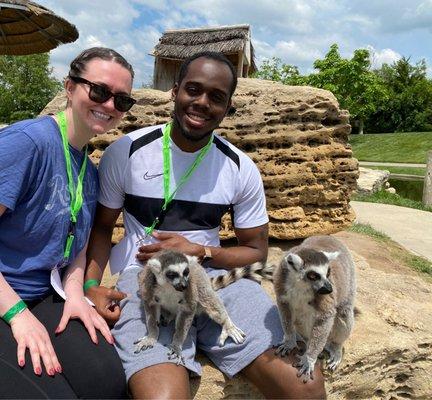 Lemur feeding- included with day pass to park