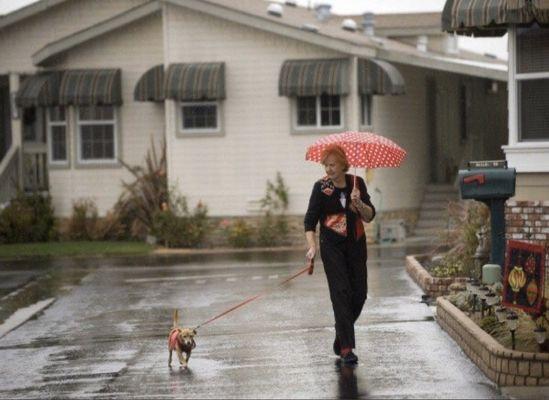 Walking dog in the rain at the mobile home park