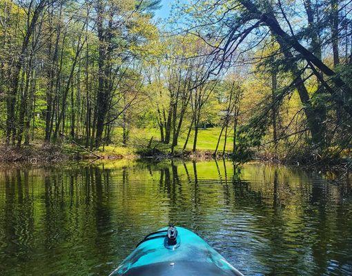 Kayak