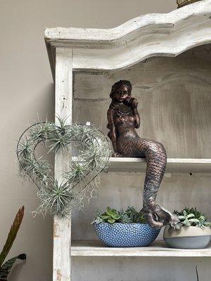 Air plants and mermaid.