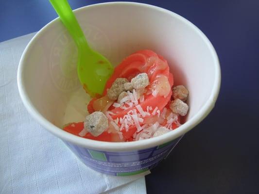 Watermelon Sorbet w/ white chocolate syrup, cookie dough pieces and flaked coconut - Just enough to wet my whistle on a hot day!