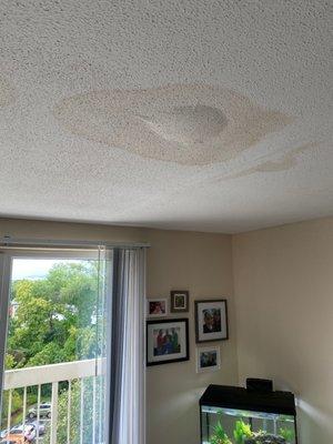 Roof leak right after moving in