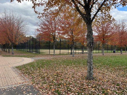 Paths and Softball Field