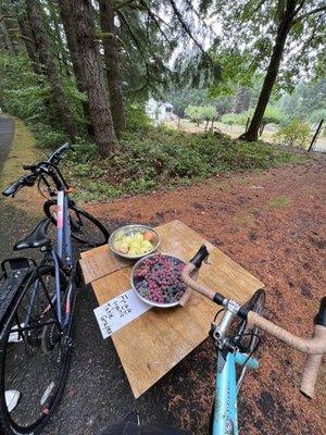 Banks - Vernonia State Trail