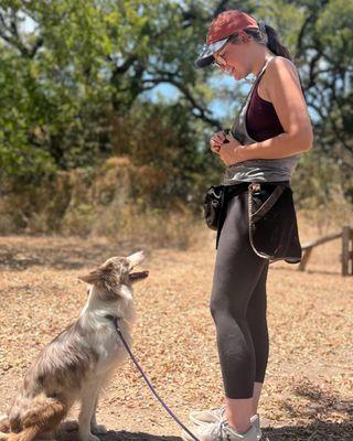 Trainer, Kara, training at Bobbi Colorado's Canine Camp