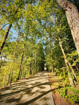 Hillsboro Trail