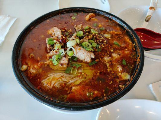 Spicy beef noodle with hot chili oil soup.