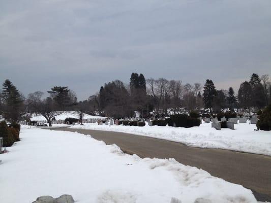 Forestdale Cemetery