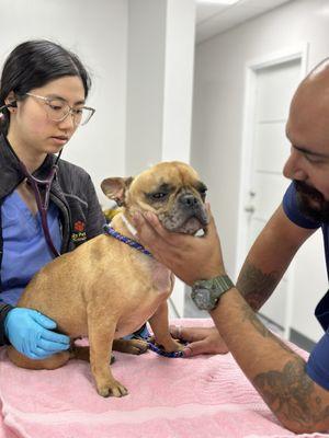 Ava getting checked out by Dr. Gann and Johan