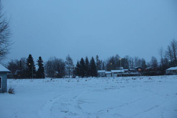 View from our window into a snowy field