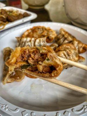 Fried Dumplings