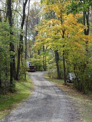 Campground road to wooded area.