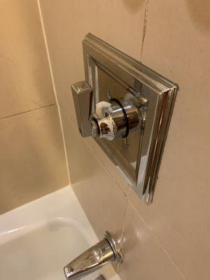 Dirty shower nozzle