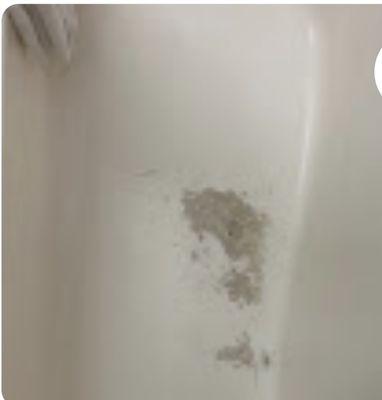 Some sort of cement-like substance in the bathtub insufficiently filling in the holes.