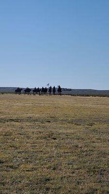 The Fort Stockton Cavalry  11-21-2022