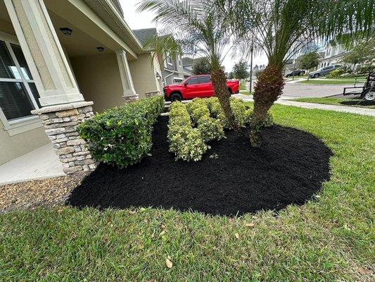 Vivid Mulching!