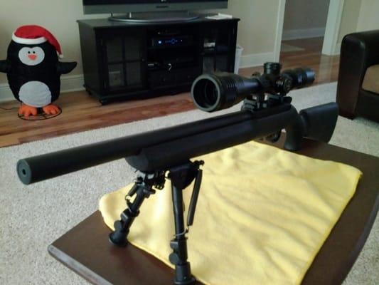 Ruger 10/22 bull barrel