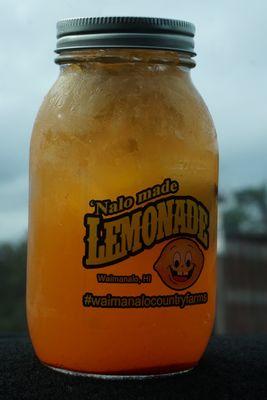 NALO Made Lemonade *10/21/21