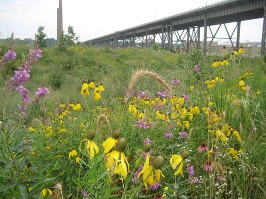 Menomonee Valley