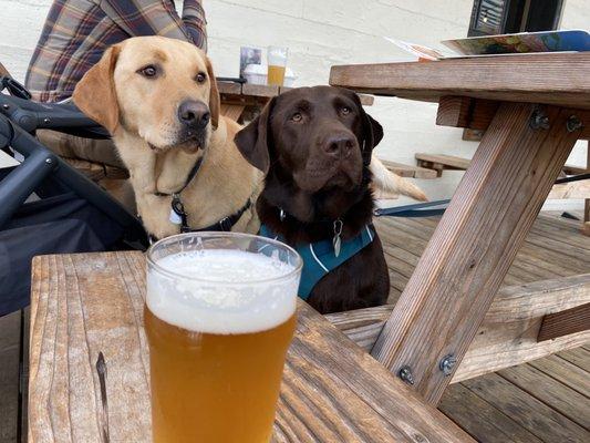 Mae and Checha, enjoying the patio and having a fresh beer!