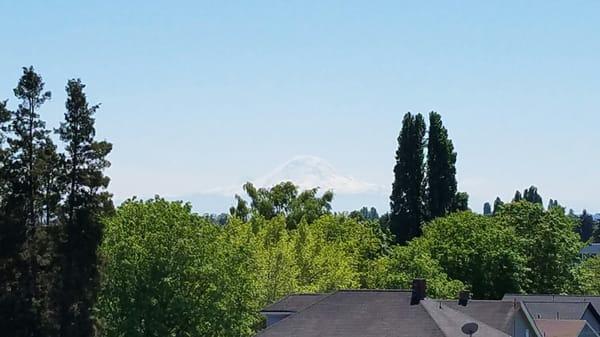 Mount Rainier on a beautiful from the rooftop