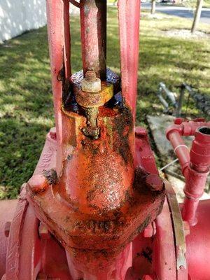 This fire sprinkler backflow is leaking. Well replace the gland and its good as new. Firemaxfirepro.com