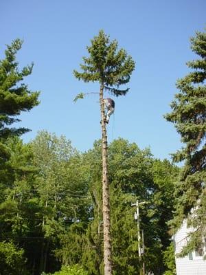 Take Down  - Coopersburg , PA