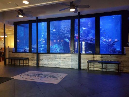 Aquarium at front door