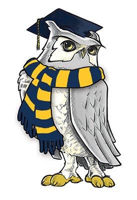 WGU Night Owl