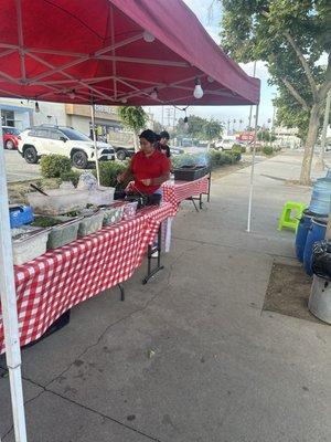 Come down and check these guys out they have the best tacos in town!